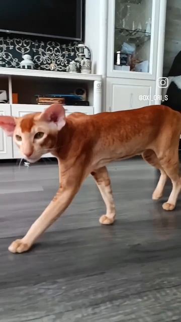 1000147126.mp4