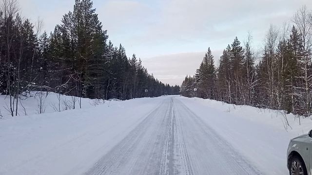 Кольский полуостров, дорога из Ревды в Мурманск. Лес, снег, красота!