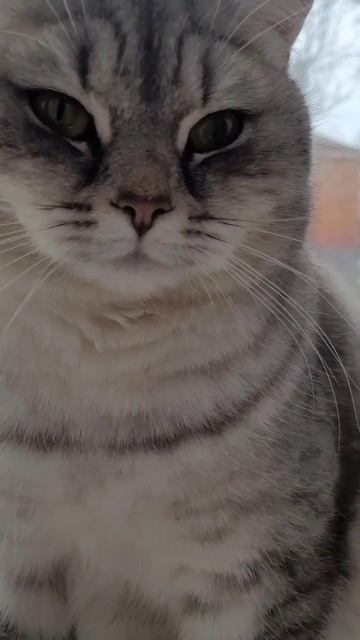 Любимое место