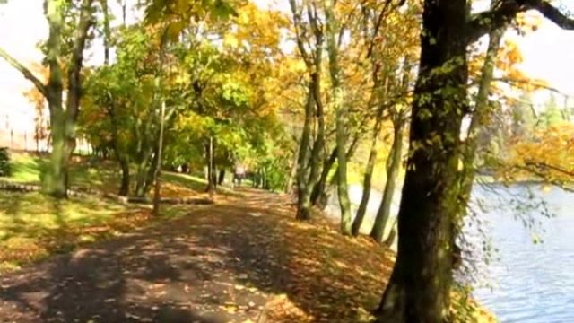 Листопад, Калининград
2012