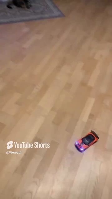 моя машина