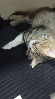 самое необычное в фикс прайс