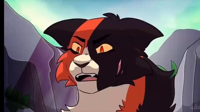 l can't decide ||MAP кленовница коты воители warriors cats | BlacK FaLcoN |