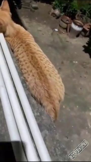 удобное место
