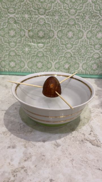 Выращиваем авокадо : день 1