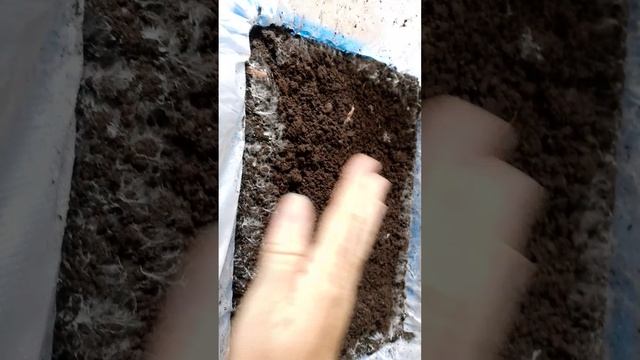 1000017603.mp4