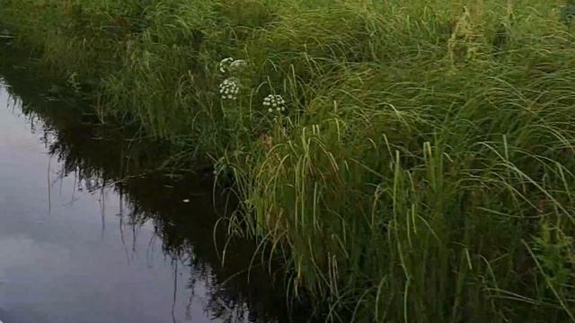 Россия.Тверская область Исток реки Волга. Прогулка.