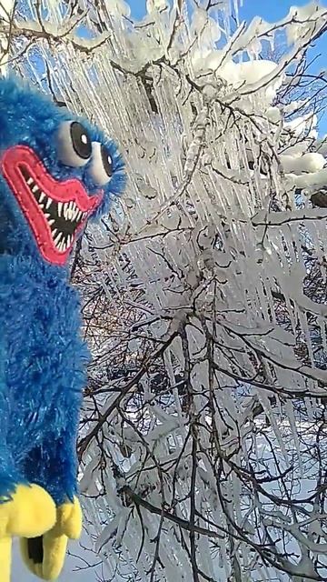 Хаги Ваги в поисках сосули