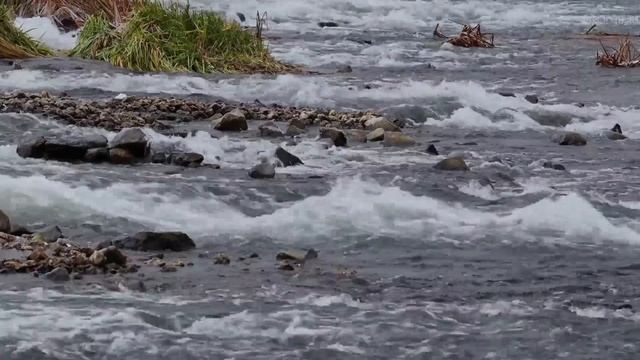 Липецк рассказ про Дамбу