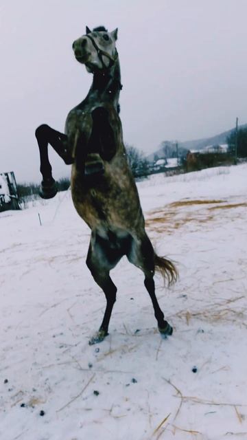 только вперёд