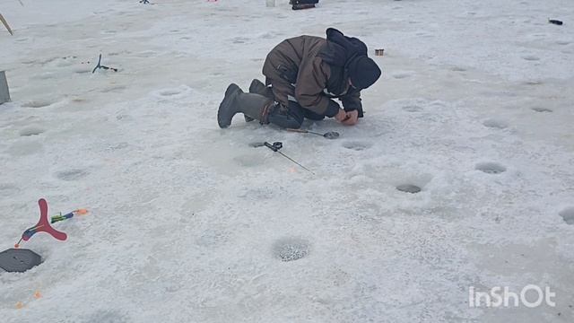 Рыба есть