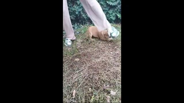 1000158415.mp4