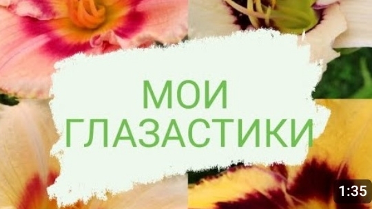ЛИЛЕЙНИКИ С ГЛАЗКОМ В МОЕЙ КОЛЛЕКЦИИ. 22.07.2023г. БЕЛАРУСЬ, ГОМЕЛЬСКАЯ ОБЛАСТЬ