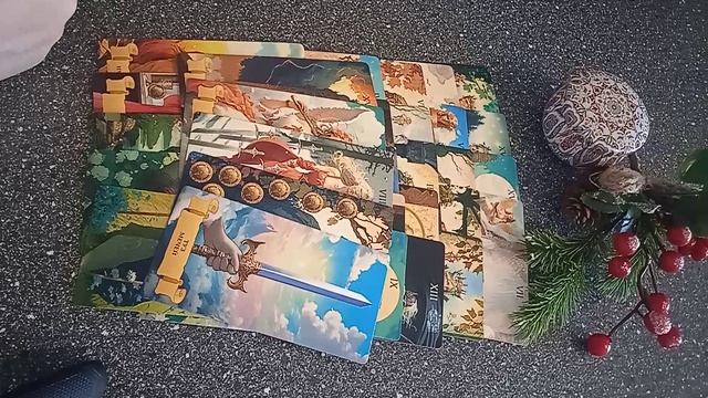 VID_20250214_120849.mp4