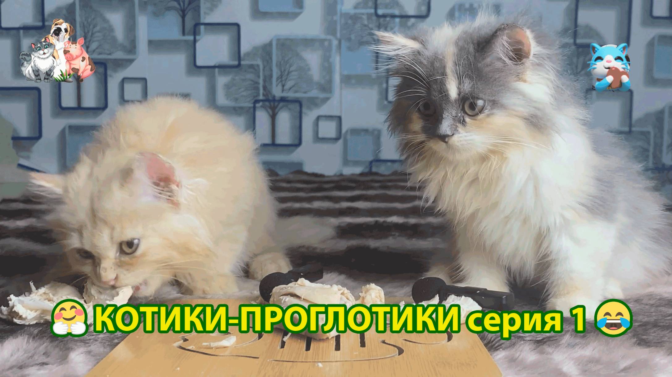 Котики-проглотики растут будущие птицеводы 🐈🐈⬛😹 эпизод (1)
