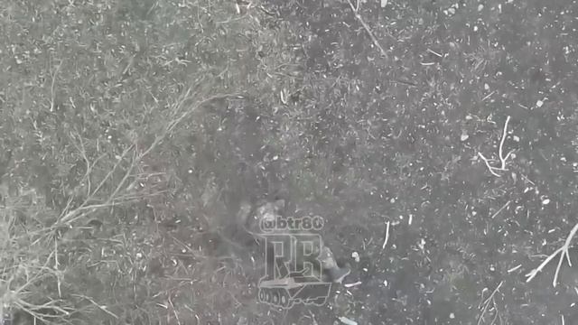 Бойцы группировки «Центр» пощадили боевика всу, который стал молиться перед атакой Российского копте