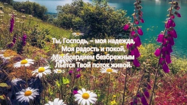 Солнца свет