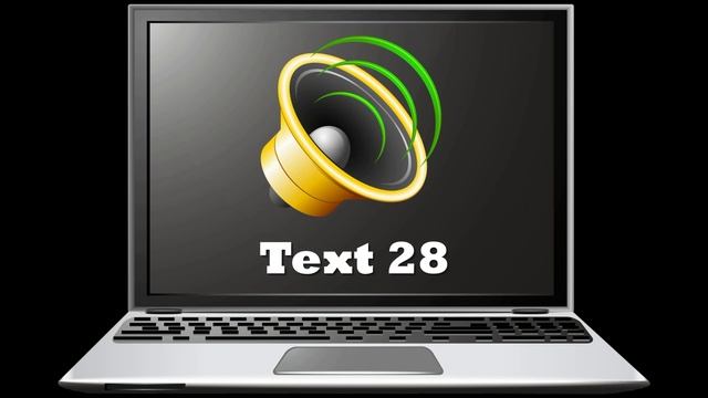Text 28