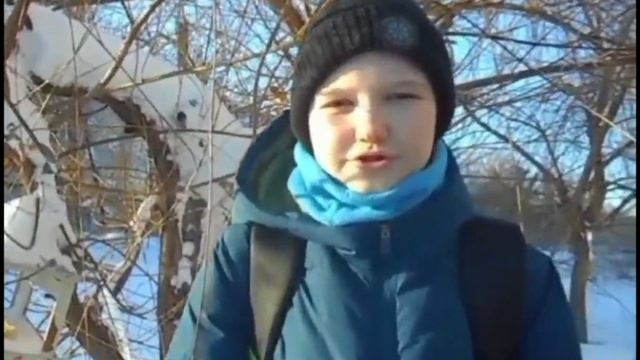 Помоги птицам зимой