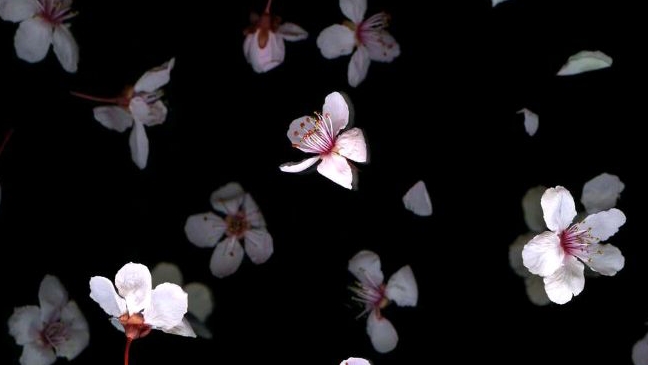 как удалить родительский контроль