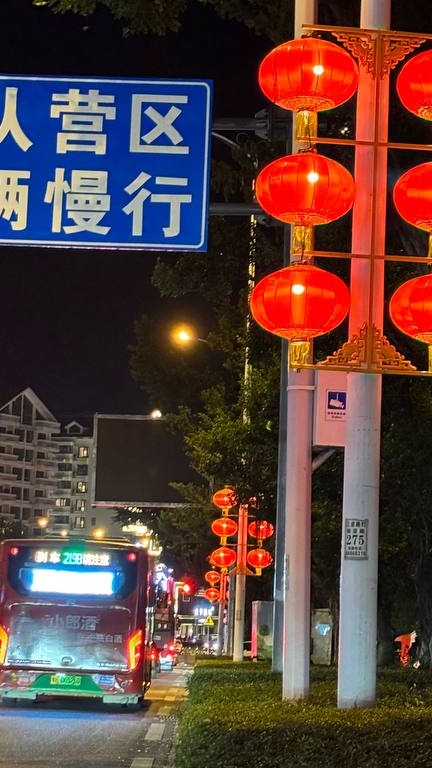 Санья.Китай.14 февраля 2025г.