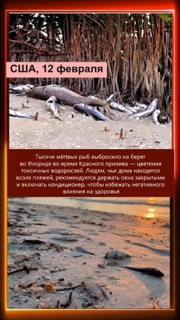 13.02.2025 Что произошло в мире