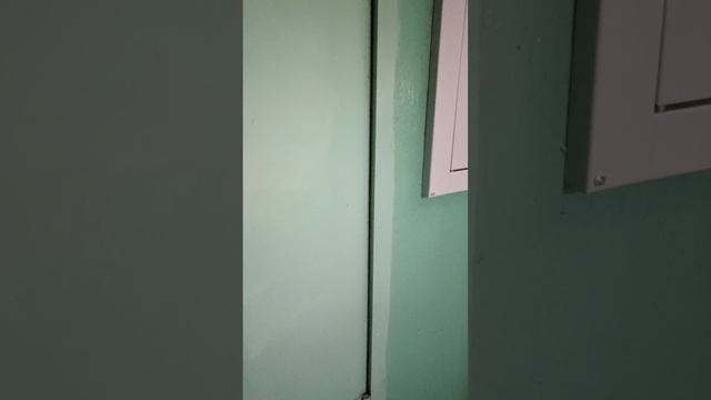 VID_20250210_140637