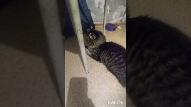 пр пр 🤭🤭