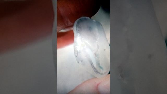 VID_20250109_004321.3gp