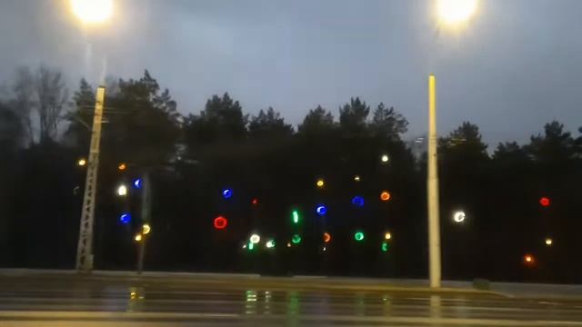 Новогодний Брест. Улица Московская. Утро.🧚♀️.mp4