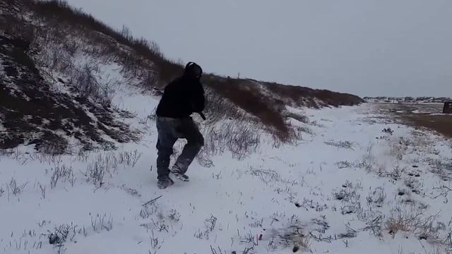Saiga 12
