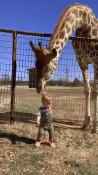 zarafa and baby