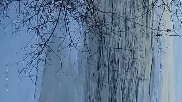 Видео WhatsApp 2025-02-14 в 21.06.35_b8c01fa5_muted (1)