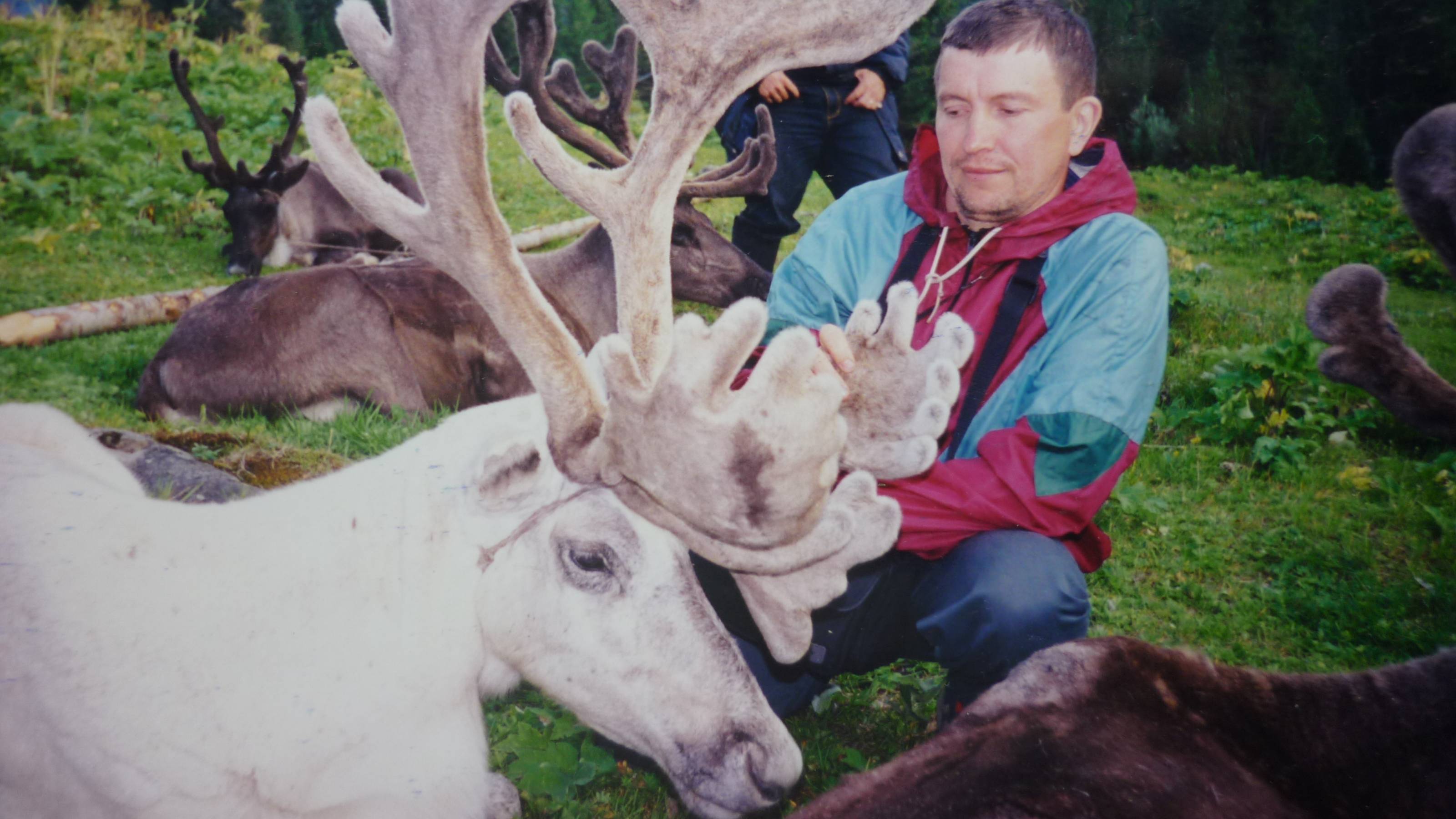 10 и 11. 08.1998г. - олени на источниках Чойган - Тыва.