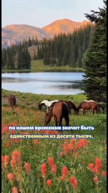 Быть честным