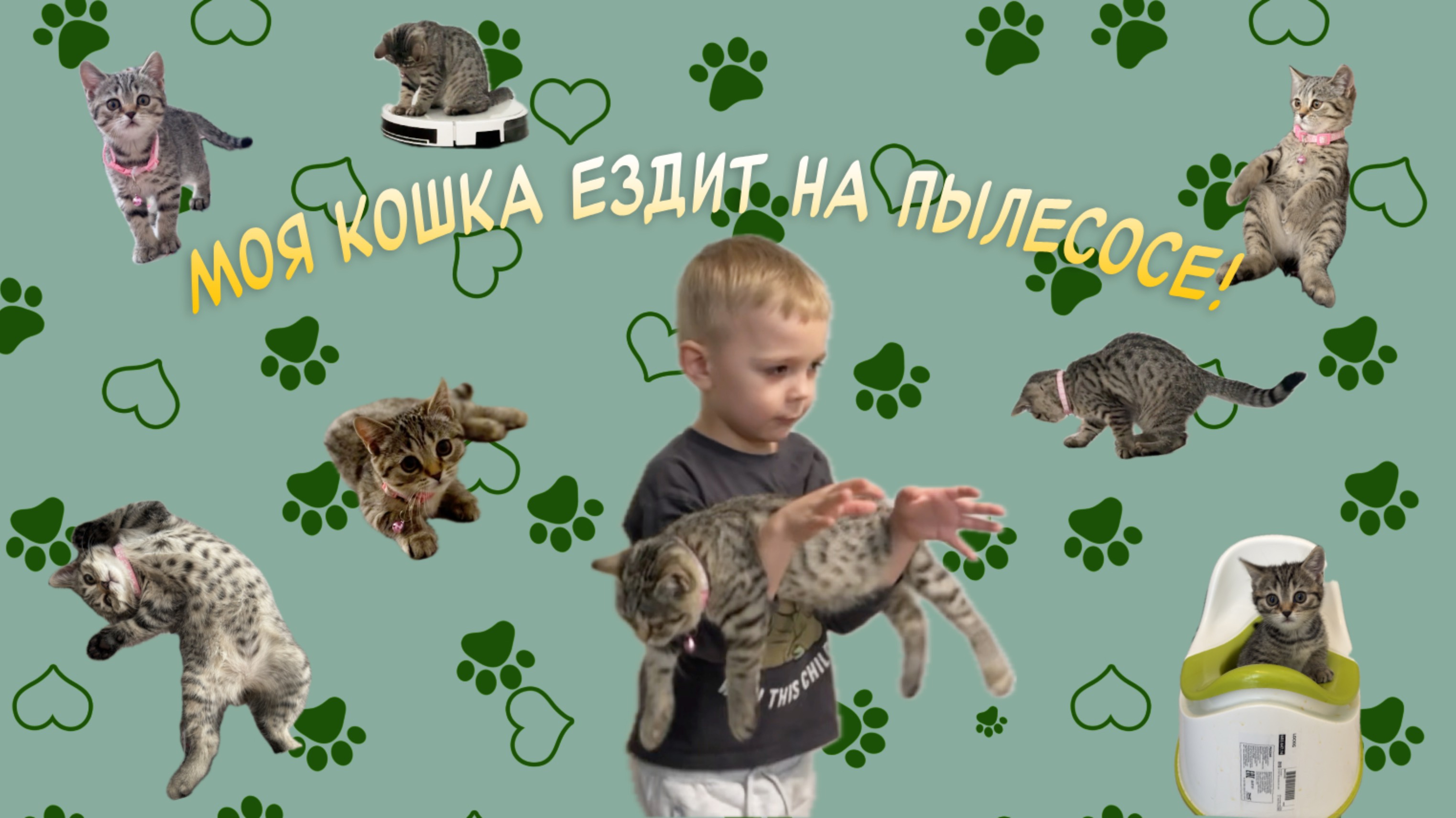 Кошка на пылесосе!🤪🤪🙀🙀