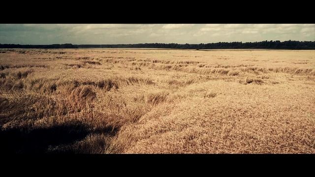Катя и Дима