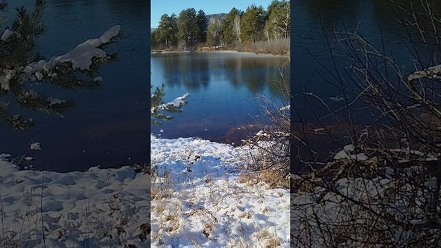 Первый лёд первая рыба 🐟