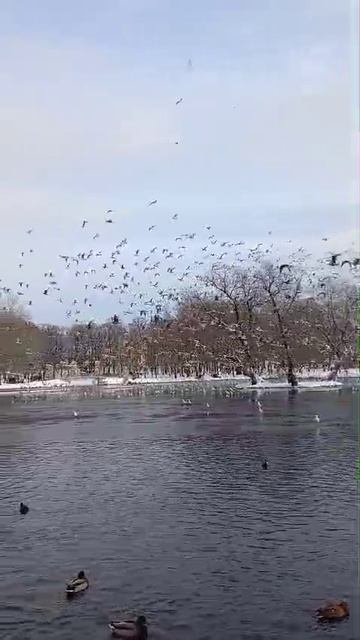Что имеем не храним, а потерявши плачем