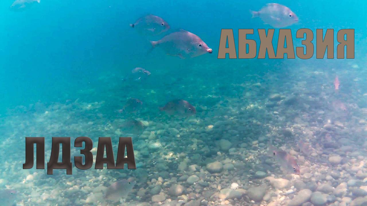 Снорклинг Абхазия. Лдзаа пляж у пограничной заставы.