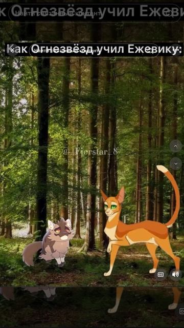 Коты воители