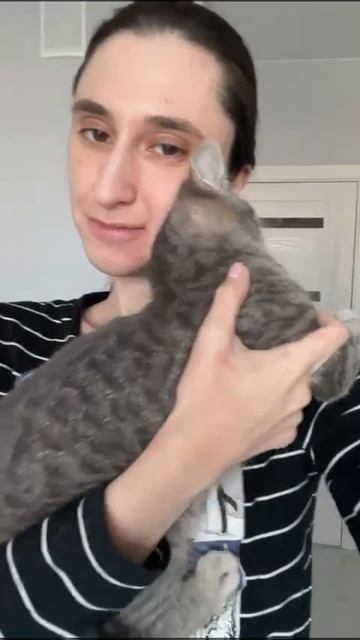 котёнок в добрые руки.mp4