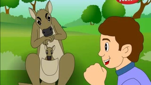 Kangaroo oh Kangaroo