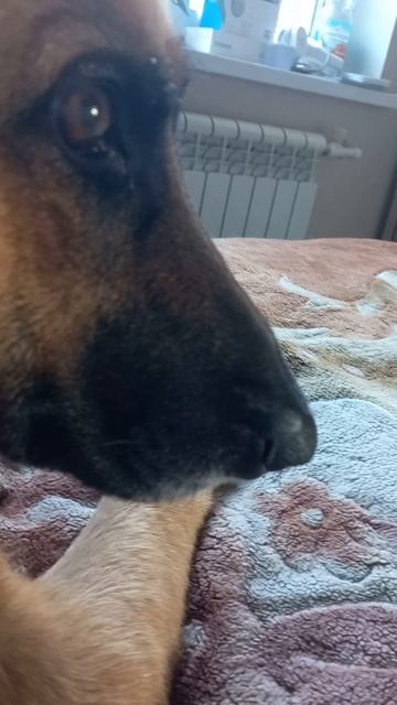 отдых