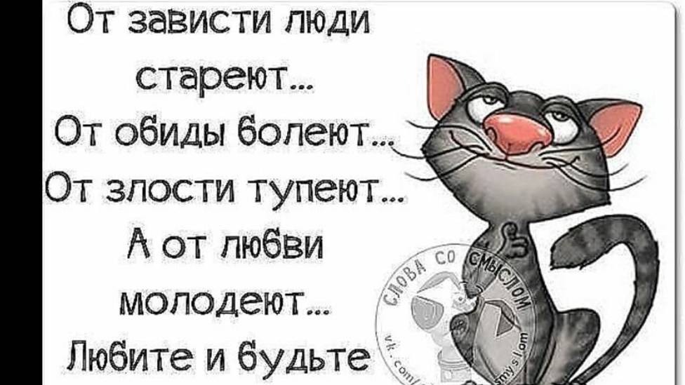 Чувство