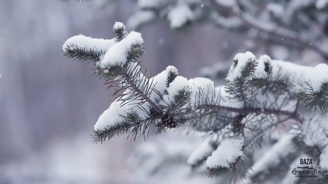 Развлечения в Парке Морозовский хутор Зима.  (Baza Landshafta)