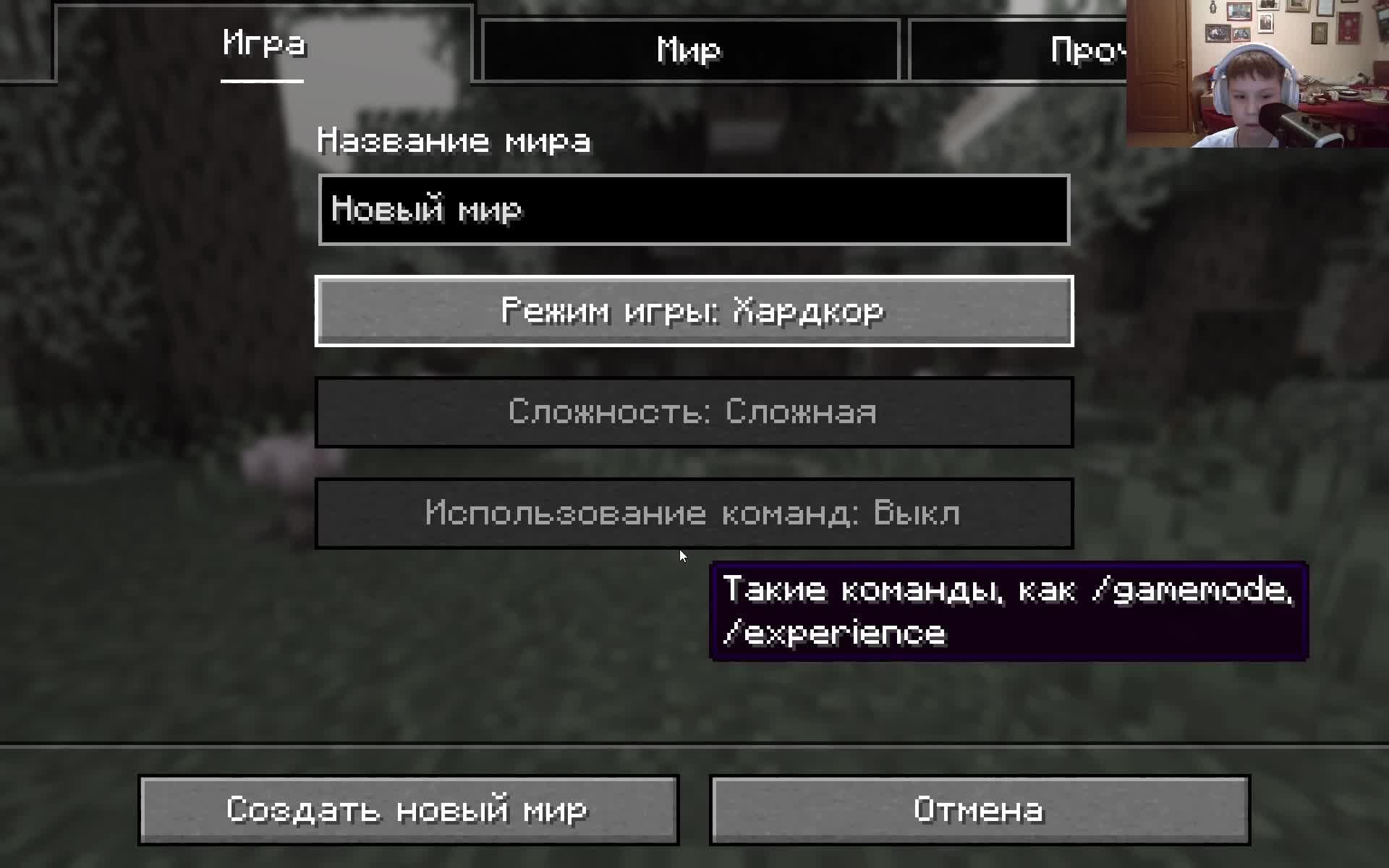 Стрим по Minecraft с LayFly  на сервере