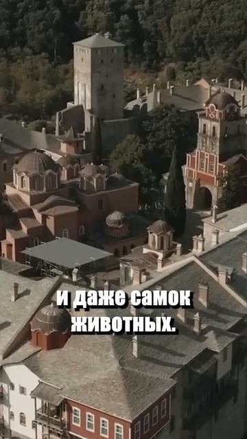Михаил Толотос - мужчина, который никогда не видел женщины