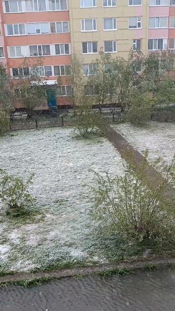С первым снегом, друзья!