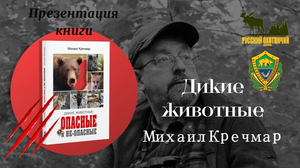 Дикие животные "ОПАСНЫЕ и НЕОПАСНЫЕ" (книга)